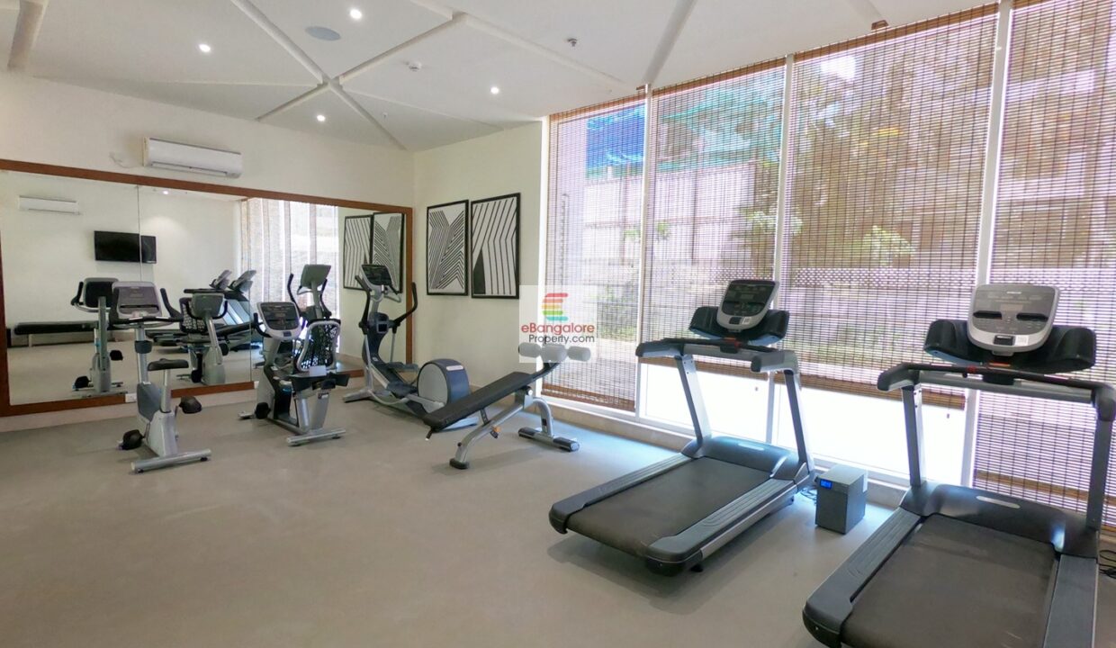 gymnasium