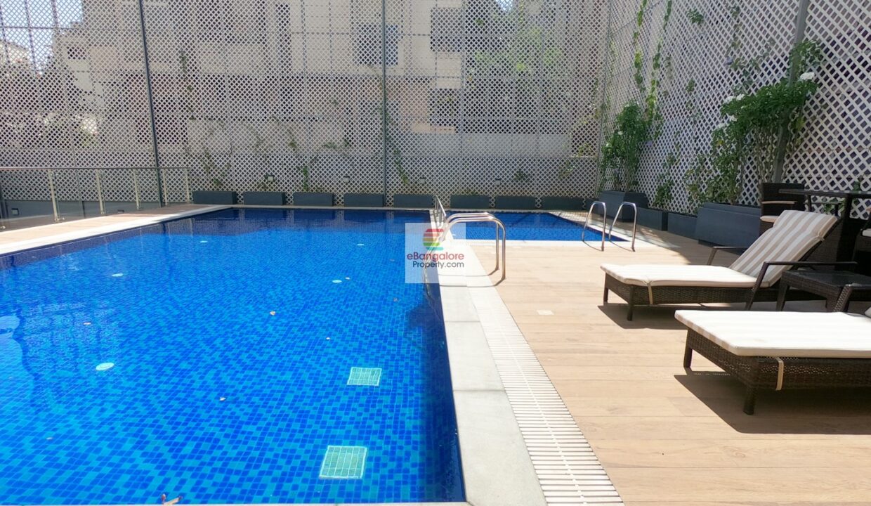 swimming-pool.jpg