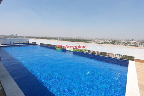 rooftop-pool.jpg