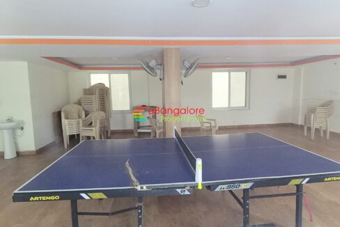 table-tennis-1.jpg