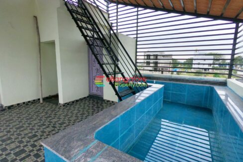 terrace-pool.jpg