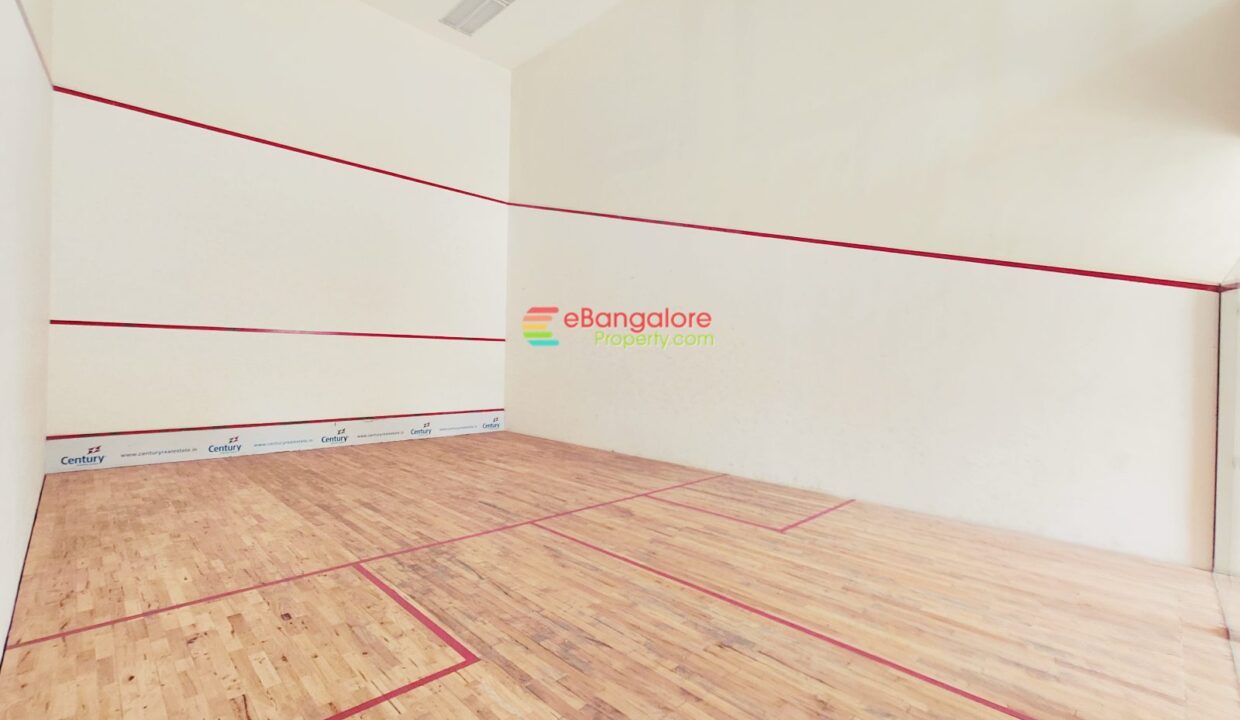 Badminton Area
