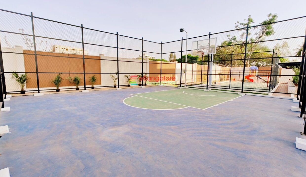 Play Court