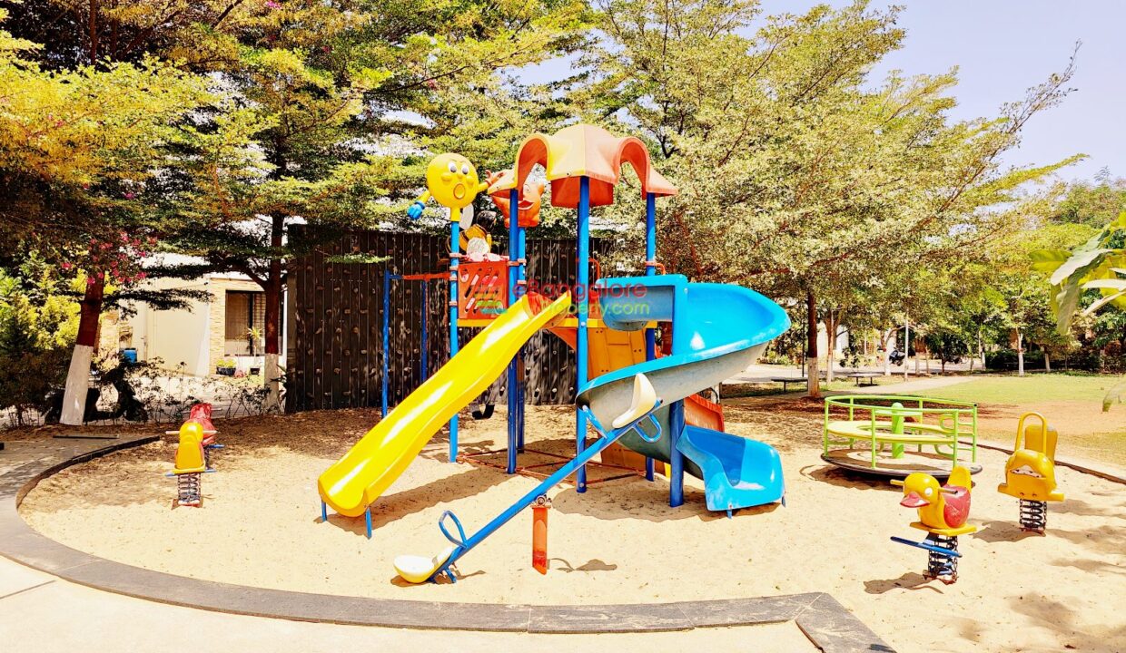 play Area